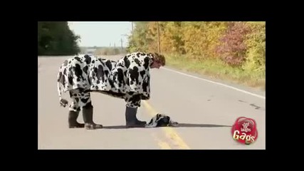 Скрита полицейска камера.