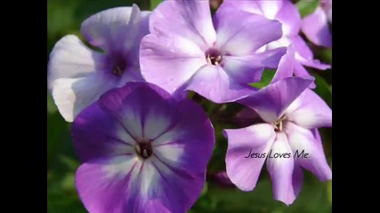 Michael W. Smith - Holy Holy Holy 