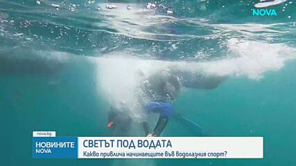 Какво привлича начинаещите във водолазния спорт?