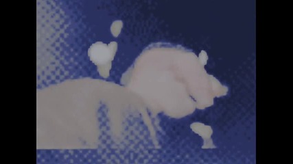 Bleir ;; S T U P I D . L O V E . L E T T E R ;