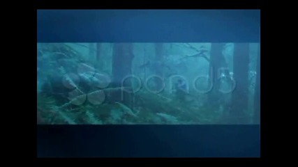 Bella and Edward - Un Break My Heart 
