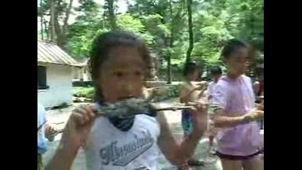 Детски спортен лагер в Северна Корея