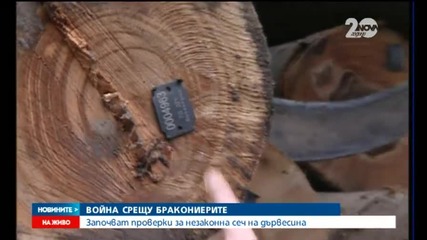 Започват проверки за незаконна сеч на дървесина