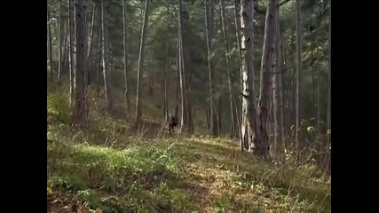 Незабравима .е138 (бг аудио)