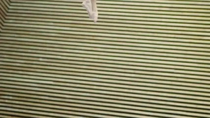 * New - 2011 * Clokx - Catch Your Fall ( Official video ) * H Q *