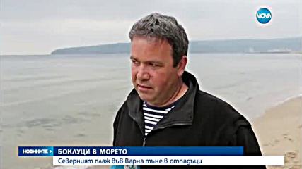 "Моята новина": Боклуци в морето край Варна