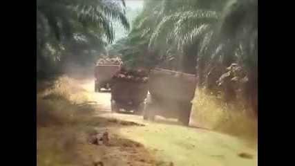 Време е да Спрем убиването на планетата!
