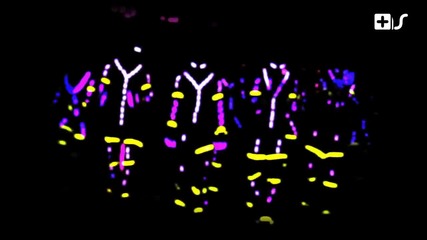 Benny Benassi vs Marshall Jefferson - Move Your Body (official Video)