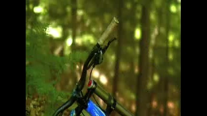 Alex Couture - Downhill Mountain Biker 