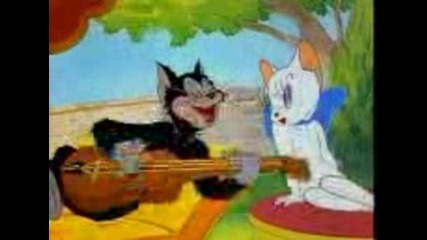 tom and jerry.flv