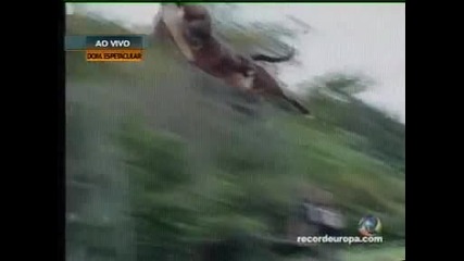 Big jump Pit Bull 