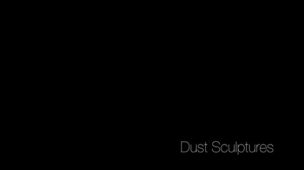 Dust Sculptures - Ornament ( 2012 )