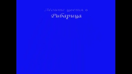 Simona Flowers_0001