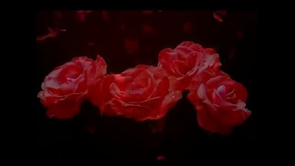 Armik-червени рози