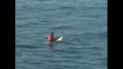 Невероятно Сърфиране с Акула 