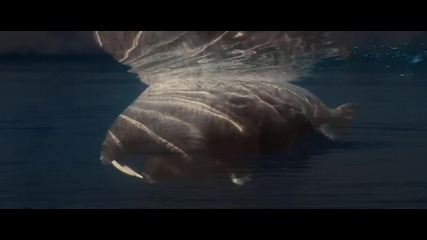 Океани - Трейлър [hd]