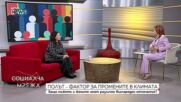 Мъжете отделят повече въглеродни емисии: Защо и как?