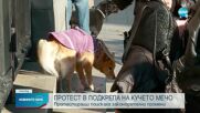 Протест пред Събедната палата заради насилника на кучето Мечо