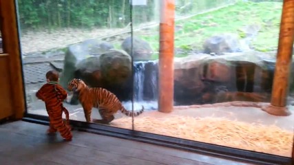 Малко детенце се закача с тигър.