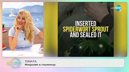 Иван Пенев - от дома си в Аруба - "На Кафе" (08.05.2020)