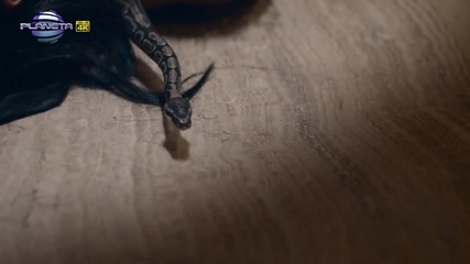 Промо Крум ft Анелия - Забрави,official video 2015