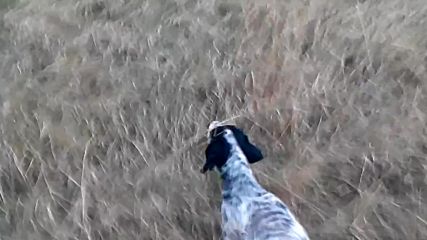 Vid_20161005_184020