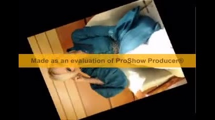 Elena - Du6ata v raq 100% (live) 2009 
