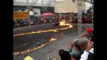 cobra moto show