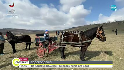 Видео - (2022-03-12 12:38:31)