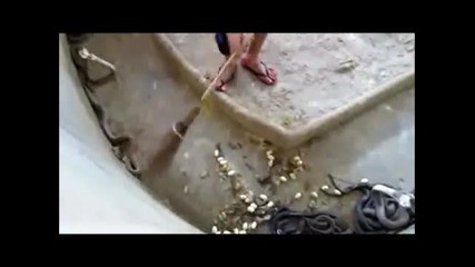 mexendo no covil de cobras naja - hole of naja snakes - Youtube