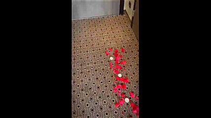 2025-06-08-183031317.mp4