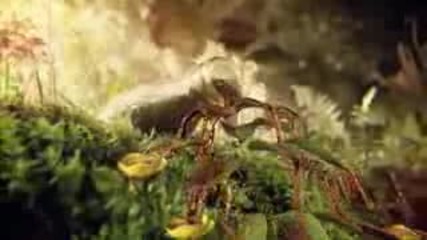 яка реклама на Coca - Cola