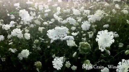 Brian Crain - Wind