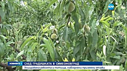 След потопа и градушката: Унищожена реколта и пътища, наводнени домове