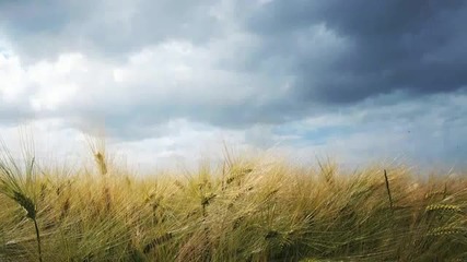 Zirenz Vs Ben Alonzi Adriz - Take Me To Heaven