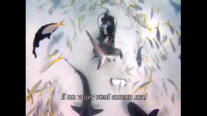 Les Seigneurs De La Mer.
