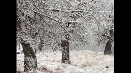 Видео - (2014-11-24 18:39:00)