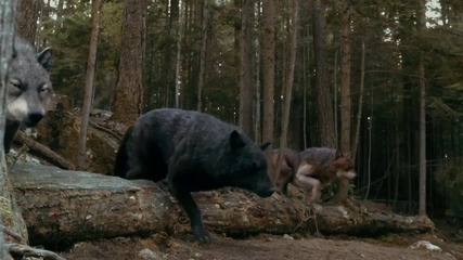 Twilight Saga Eclipse Tv Spot Event