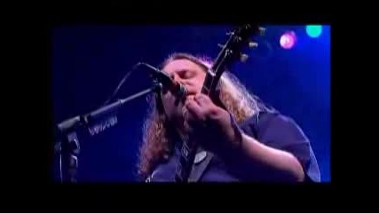Gov`t Mule - Banks Of The Deep End (live)
