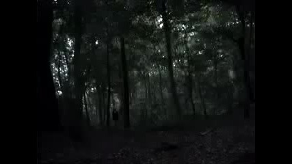 Nocturnal Depression-the Crying Wolf