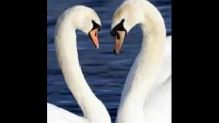 Andre Rieu - Romance by Shostakovich
