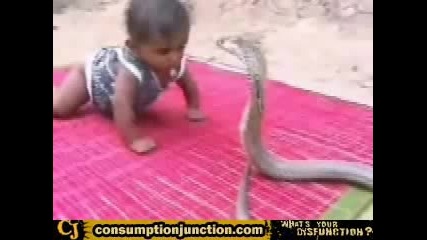 Дете Играе Със Змия!! 