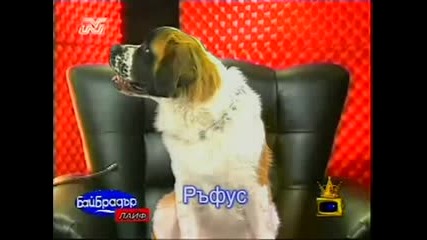Бай Брадър - Кучето Руфъс