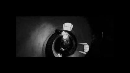 Crushed...dramione