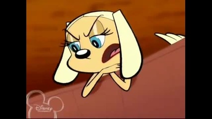 Brandy and Mr. Whiskers - Freaky Tuesday