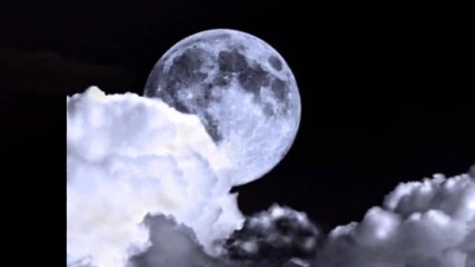 Bliss - Sleep Will Come