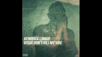 *2013* Kendrick Lamar ft. Rick Ross - Bitch, don't kill my vibe ( Remix )