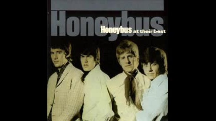 Honeybus - I Can't Let Maggie Go