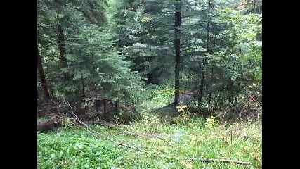 Боровец - 26/09/2010 - 2