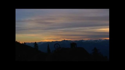 [mtb]freeride & Downhill